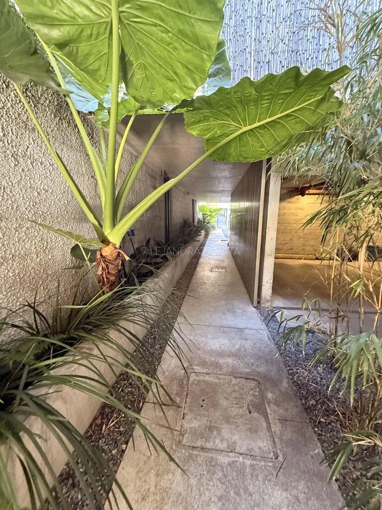 Apartamento en Punta Gorda, propiedad 282859 -Imagen 21