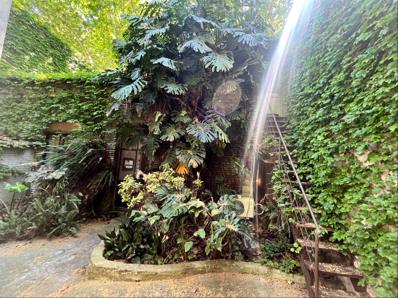 Casa en Barrio Sur, propiedad 243236 -Imagen 13