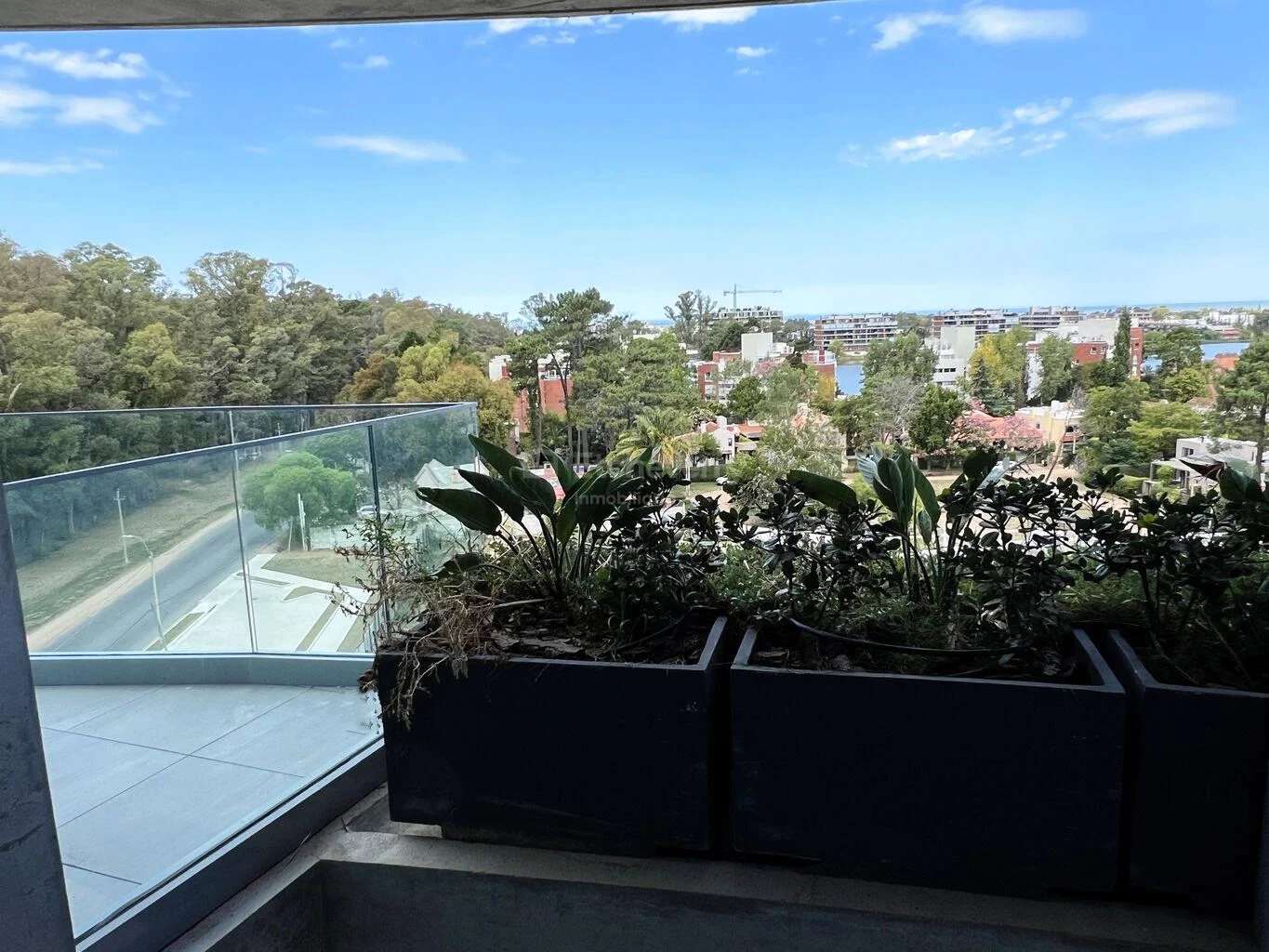 Apartamento en Parque Miramar, propiedad 265910 -Imagen 14