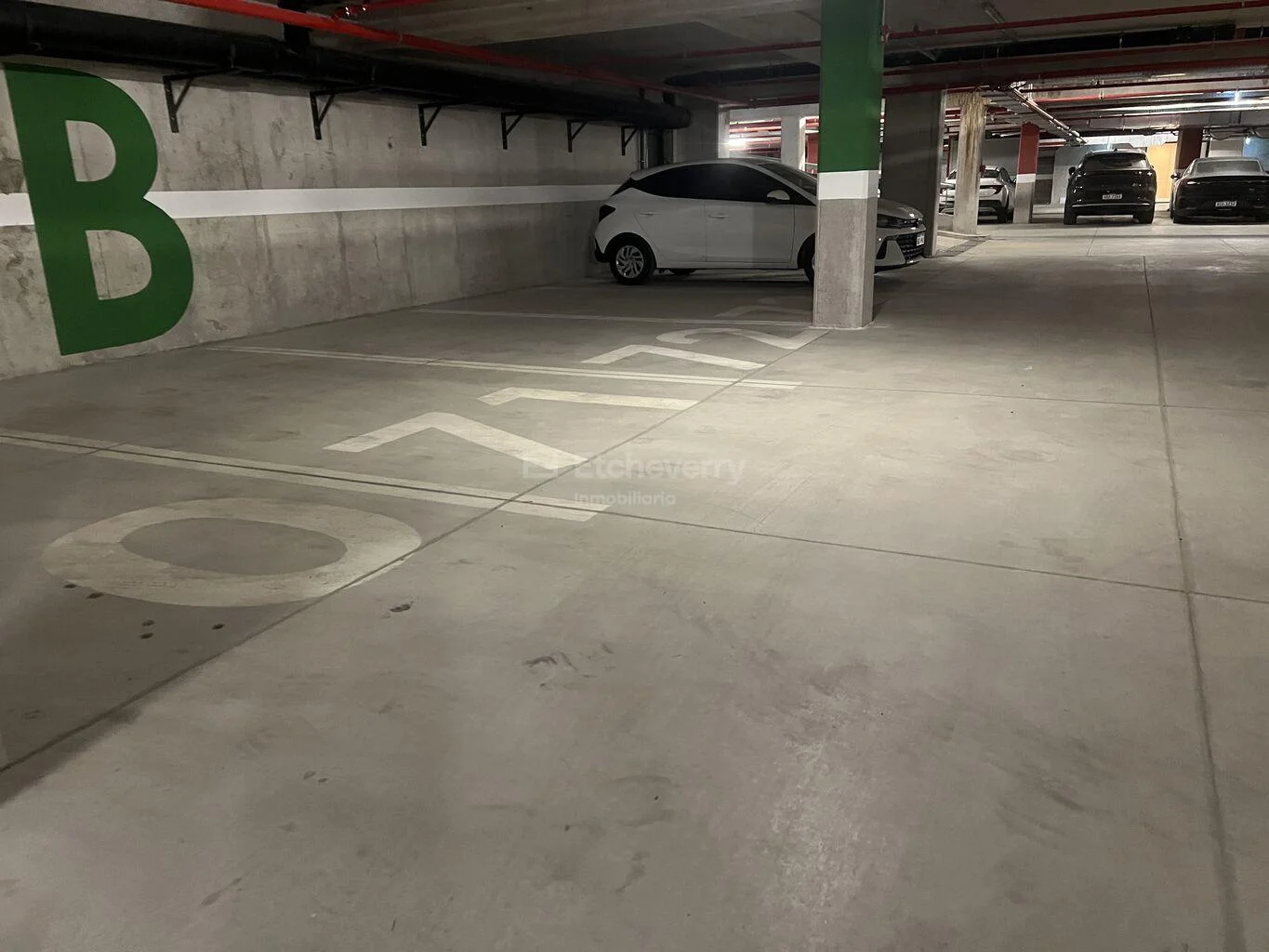 Apartamento en Parque Miramar, propiedad 265910 -Imagen 17