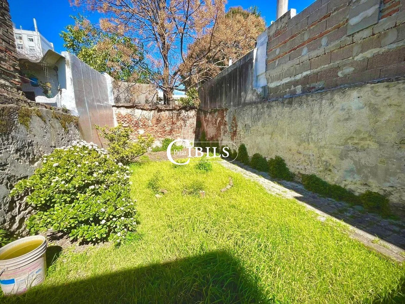 Casa en Pocitos, propiedad 295371 -Imagen 1