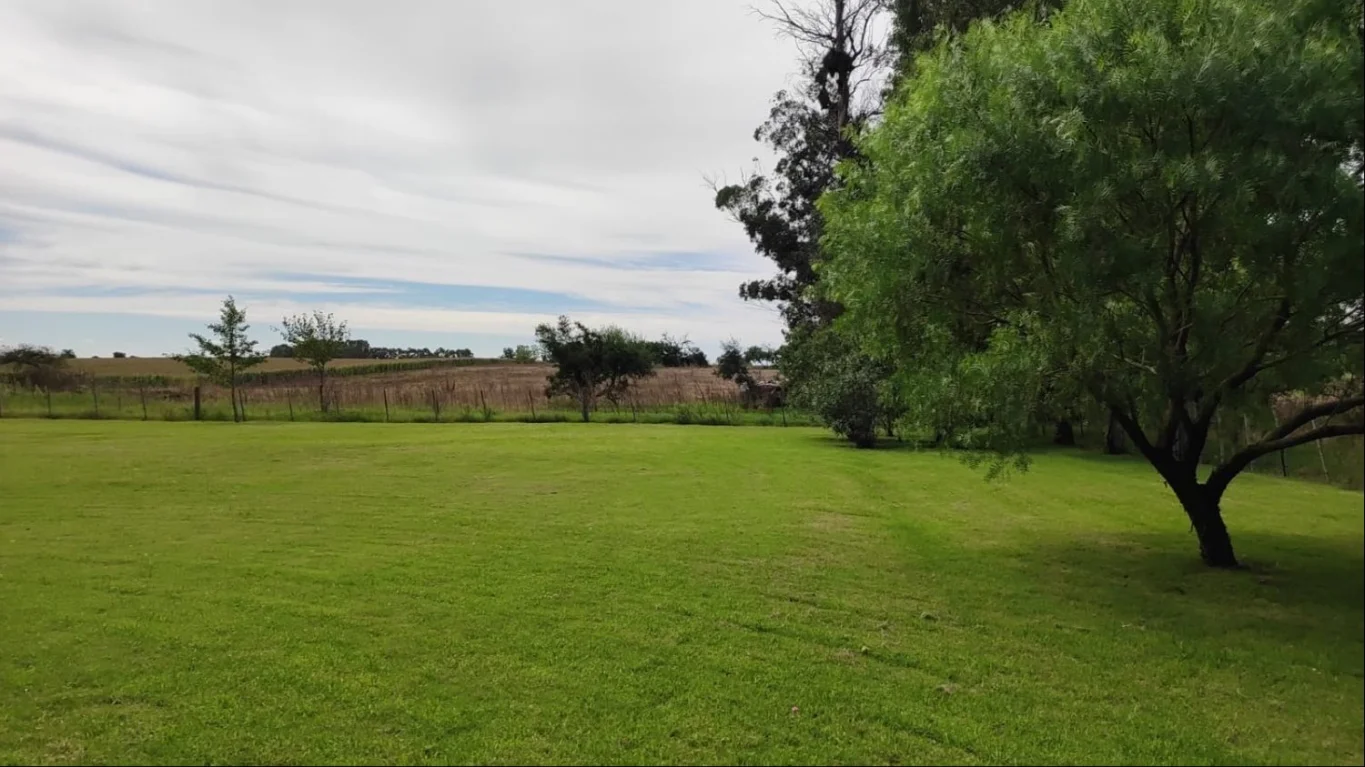 Chacra en Juan Lacaze, propiedad 291288 -Imagen 12