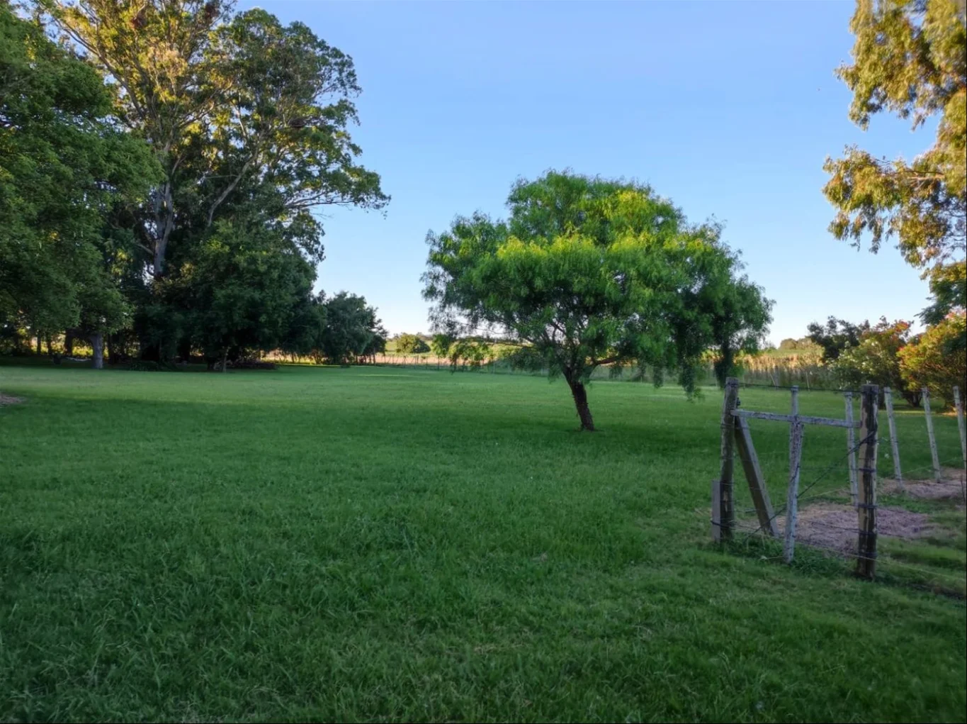 Chacra en Juan Lacaze, propiedad 291288 -Imagen 3