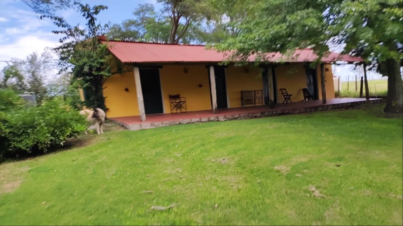 Chacra en Juan Lacaze, propiedad 291288 -Imagen 4