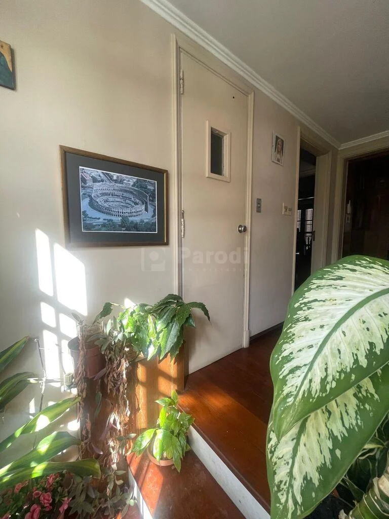 Casa en Parque Batlle, propiedad 275454 -Imagen 22