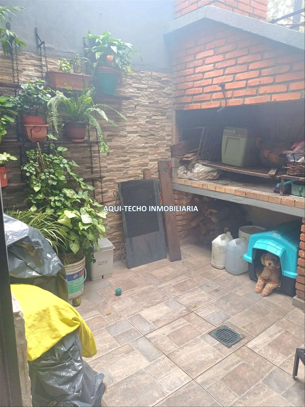 Casa en Tres Cruces, propiedad 267374 -Imagen 11