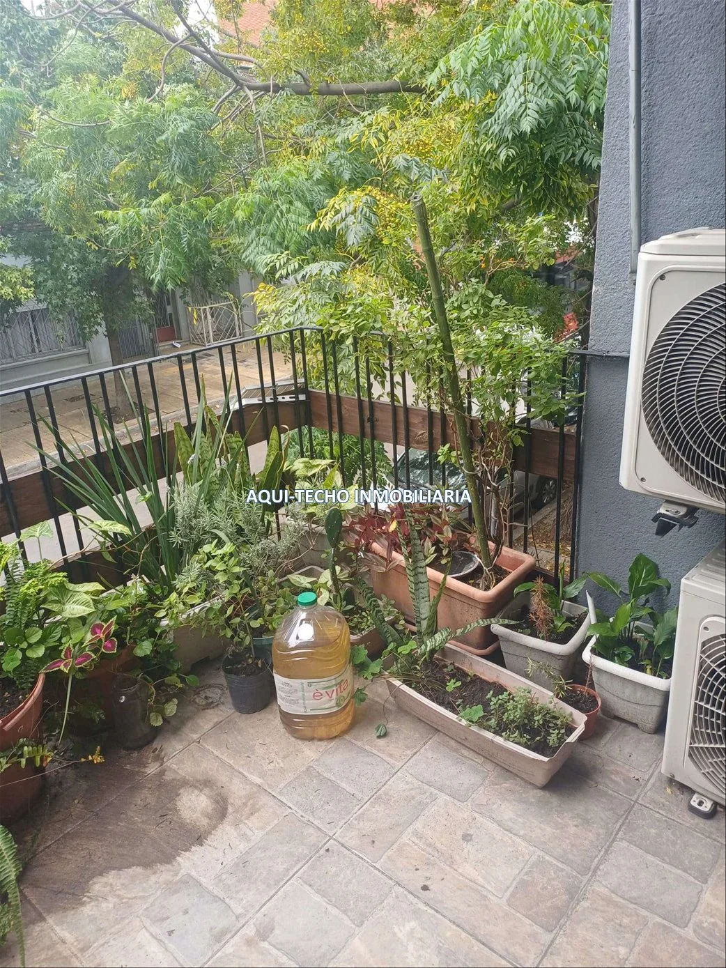 Casa en Tres Cruces, propiedad 267374 -Imagen 18