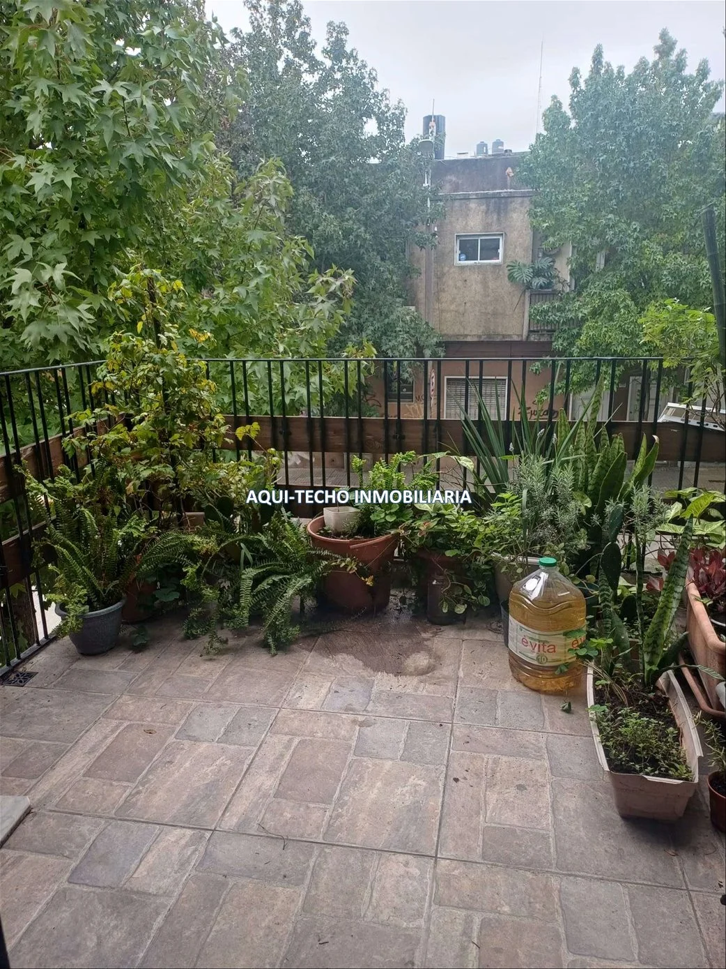 Casa en Tres Cruces, propiedad 267374 -Imagen 19