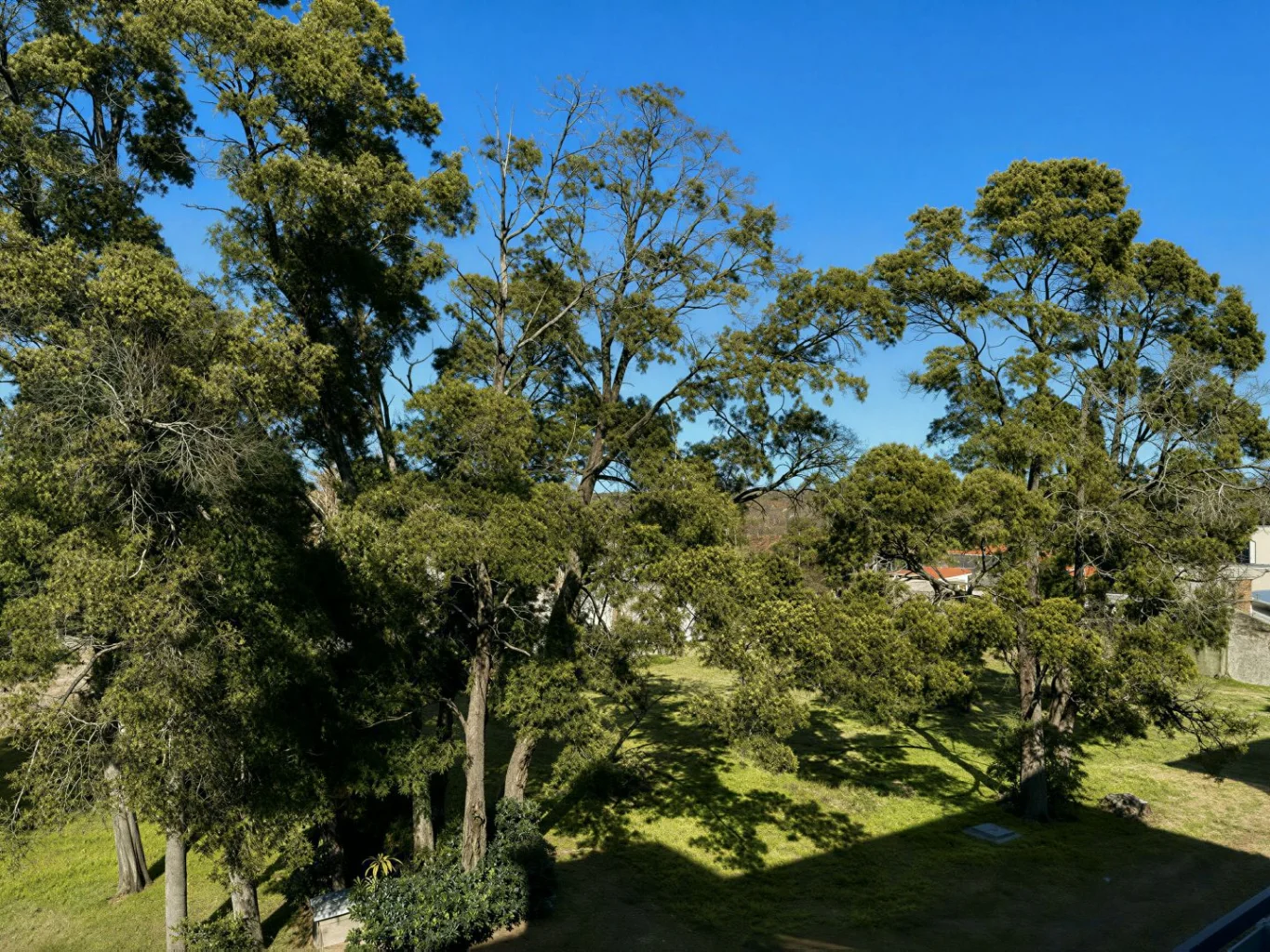 Apartamento en Carrasco, propiedad 289225 -Imagen 6