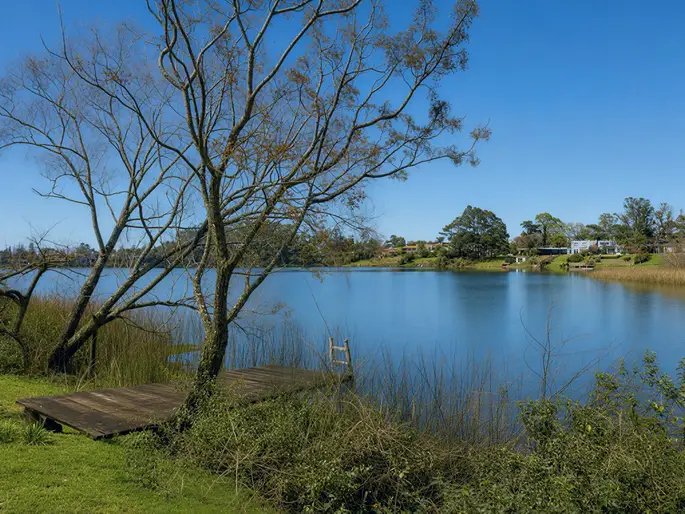 Increible fondo al Lago. Parque Miramar.