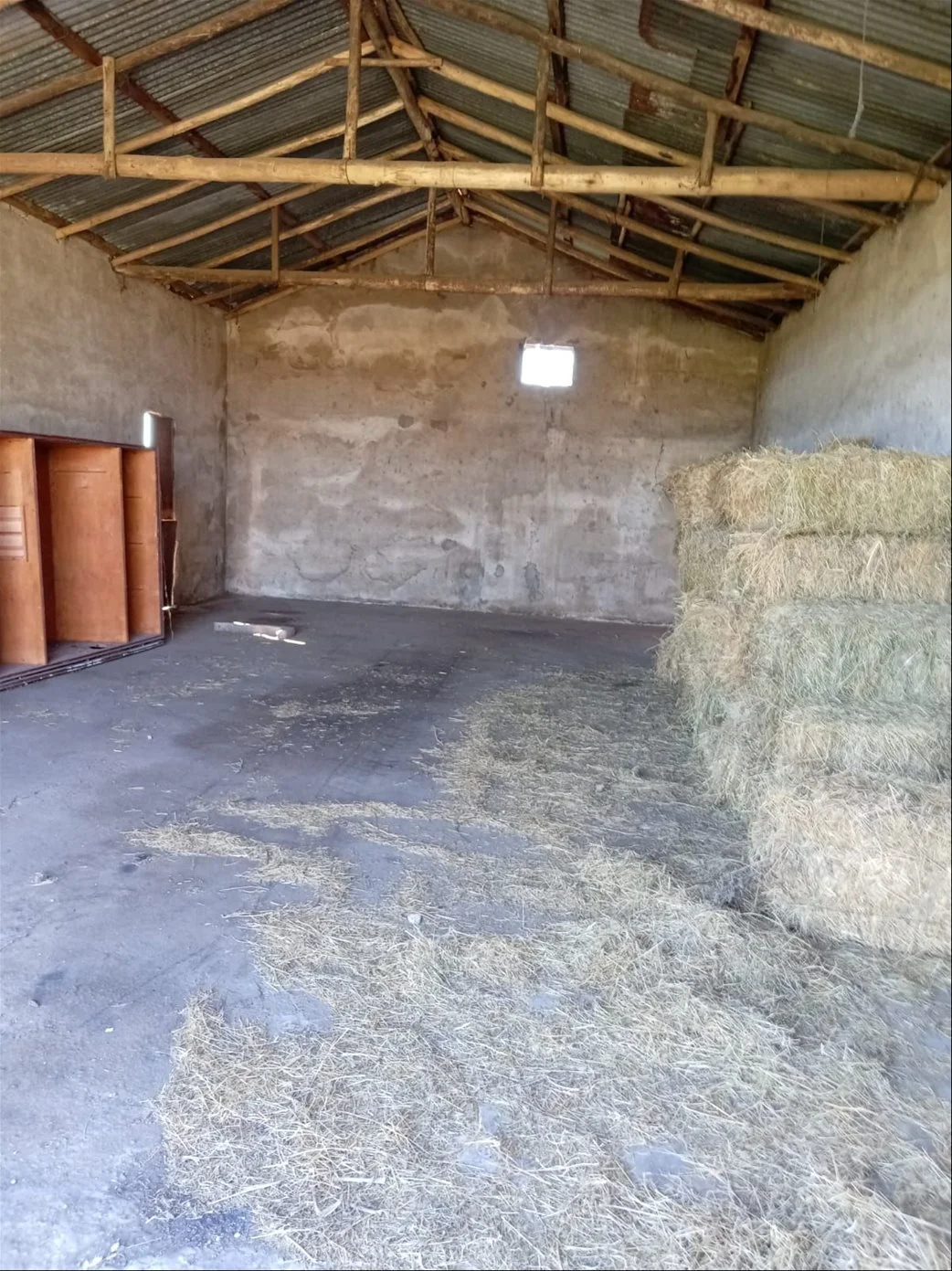 Chacra en Las Piedras, propiedad 243096 -Imagen 18