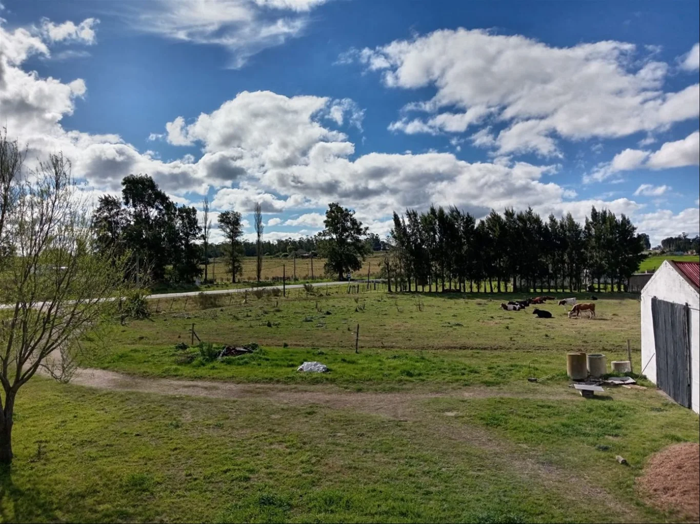 Chacra en Las Piedras, propiedad 243096 -Imagen 19