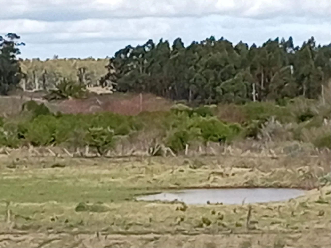Chacra en Las Piedras, propiedad 243096 -Imagen 21