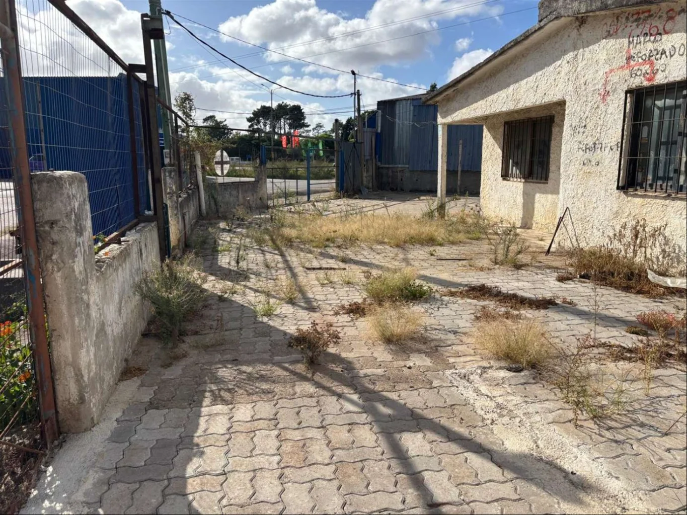 Casa en El Pinar, propiedad 250451 -Imagen 14