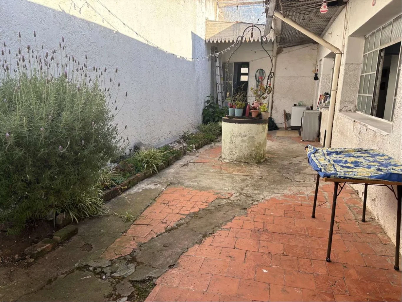 Casa en Unión, propiedad 257719 -Imagen 11