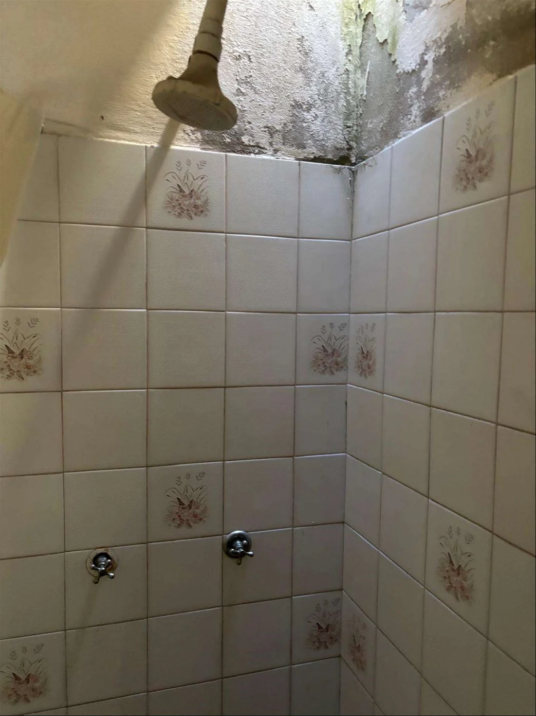Casa en Unión, propiedad 257719 -Imagen 8