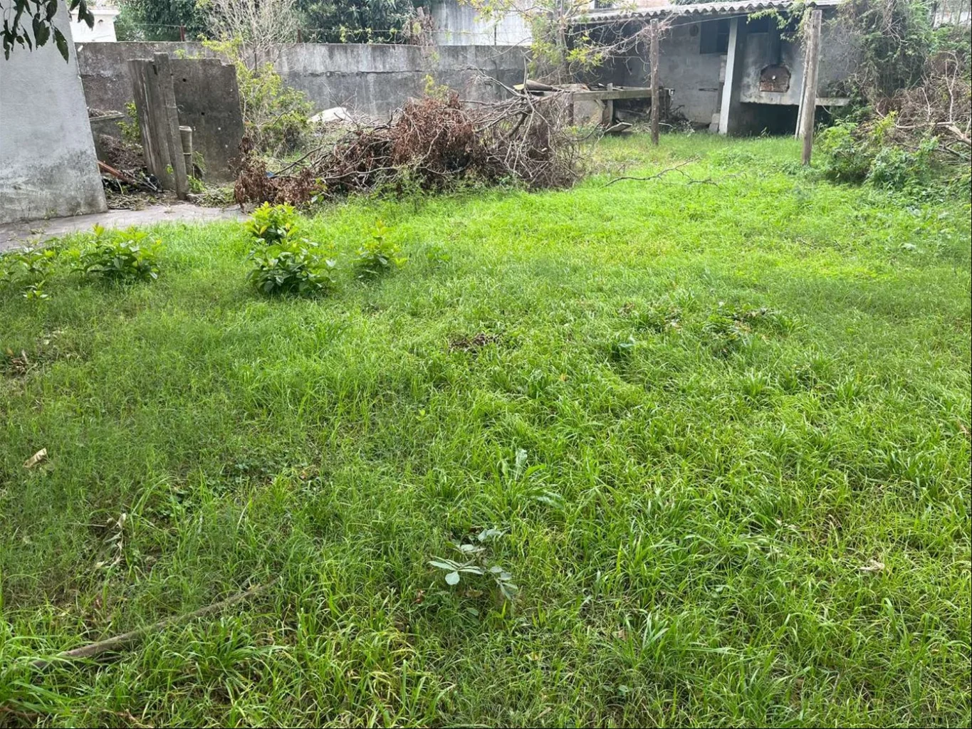 Local en San José de Carrasco, propiedad 266224 -Imagen 22