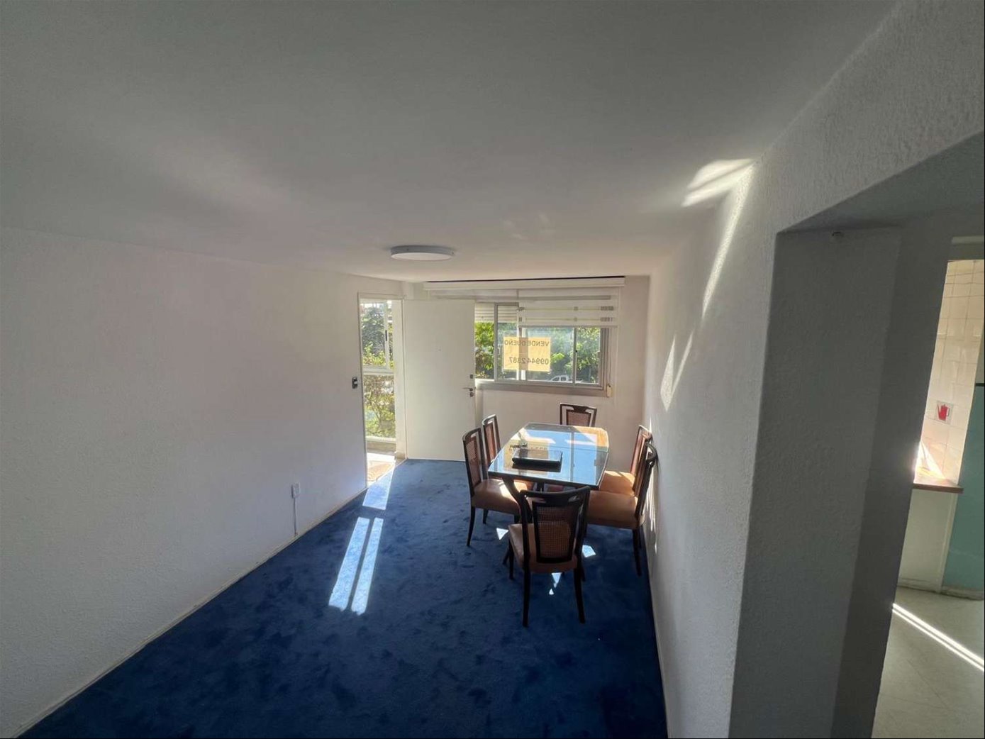 Apartamento en Punta Gorda, propiedad 272516 -Imagen 2