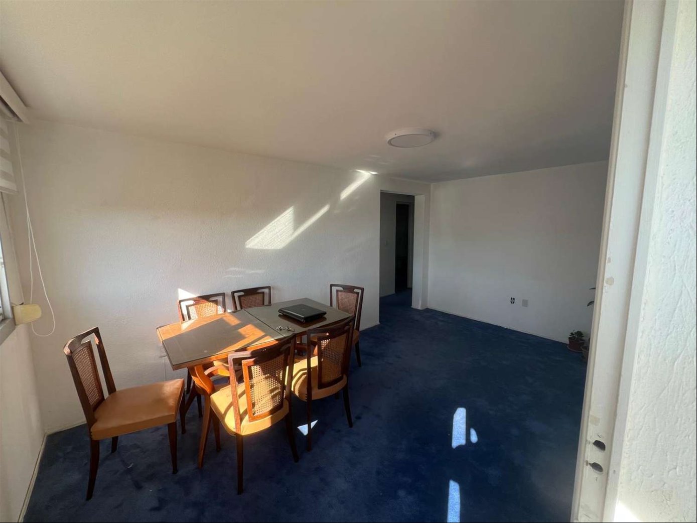 Apartamento en Punta Gorda, propiedad 272516 -Imagen 3