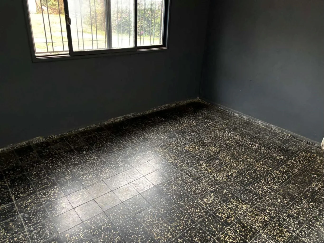 Casa en Lomas de Solymar, propiedad 285174 -Imagen 7
