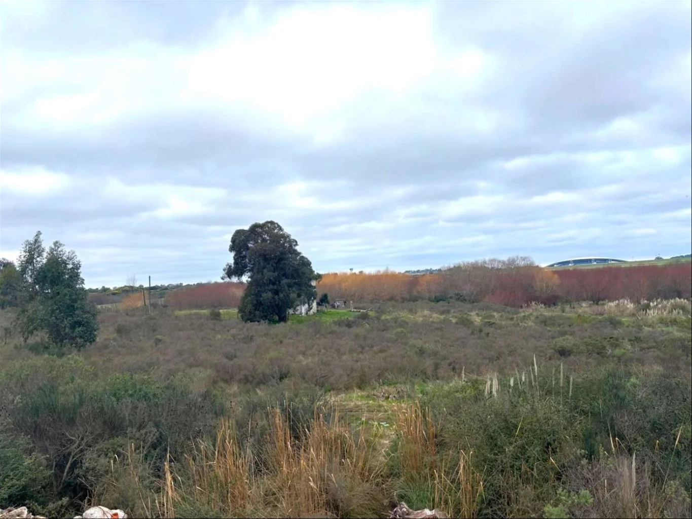 Terreno en Aeropuerto, propiedad 286506 -Imagen 2