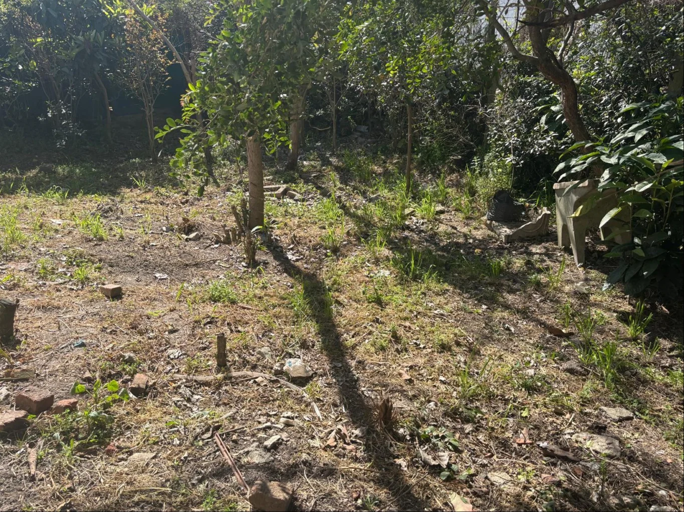 Casa en El Pinar, propiedad 295840 -Imagen 10