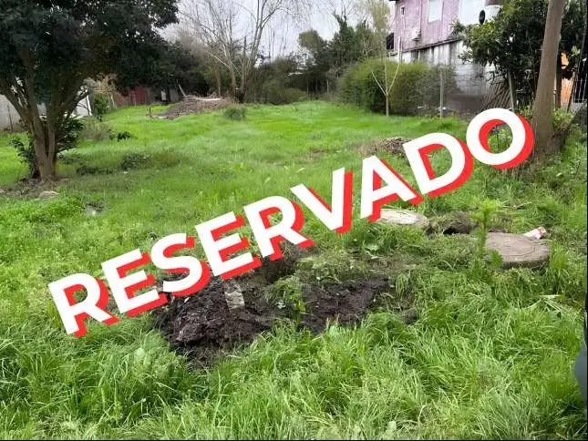 imagen  de la propiedad 288823