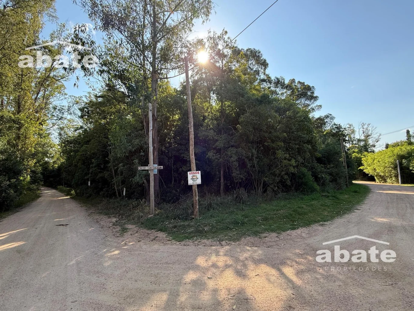 Terreno en Punta Ballena, propiedad 250901 -Imagen 2
