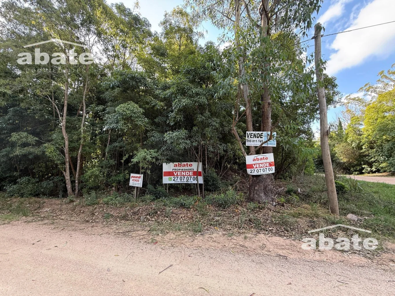 Terreno en Punta Ballena, propiedad 250901 -Imagen 3