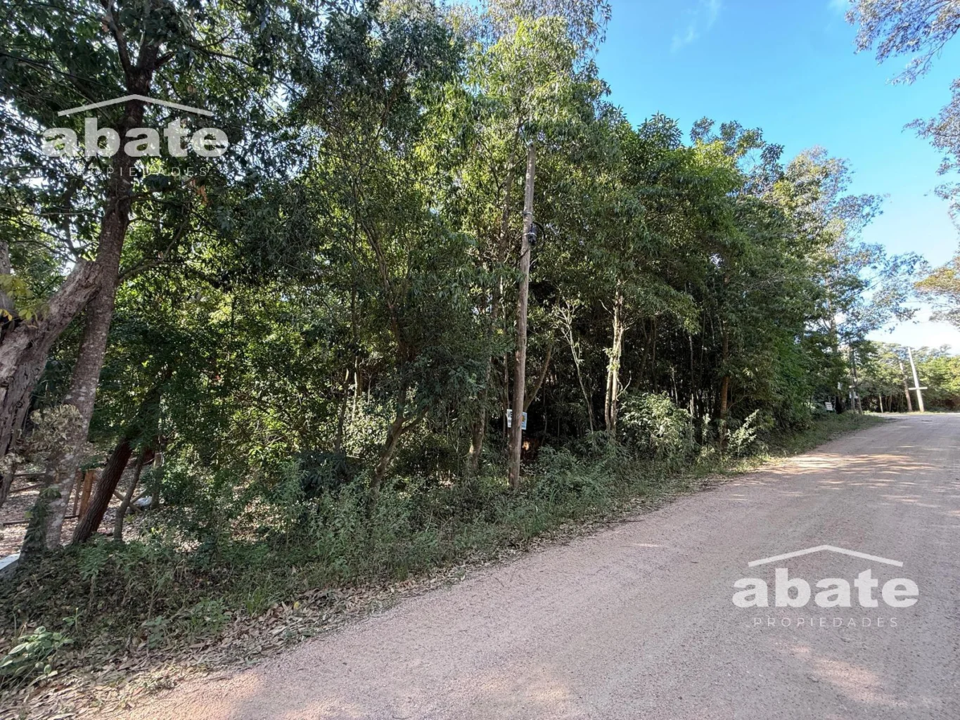 Terreno en Punta Ballena, propiedad 250901 -Imagen 4