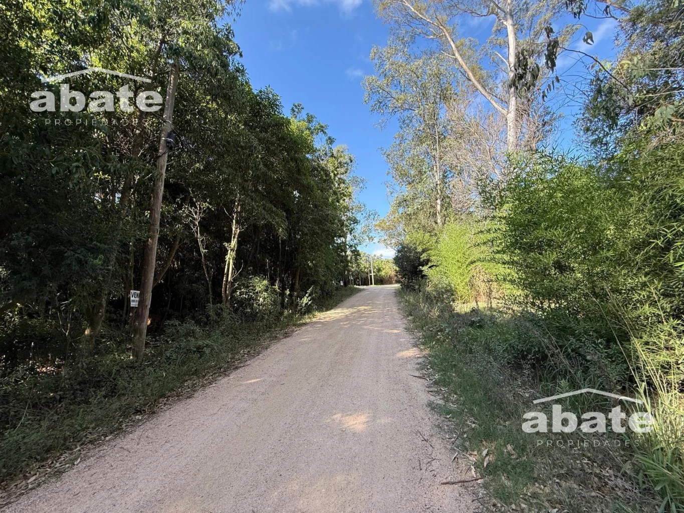 Terreno en Punta Ballena, propiedad 250901 -Imagen 5