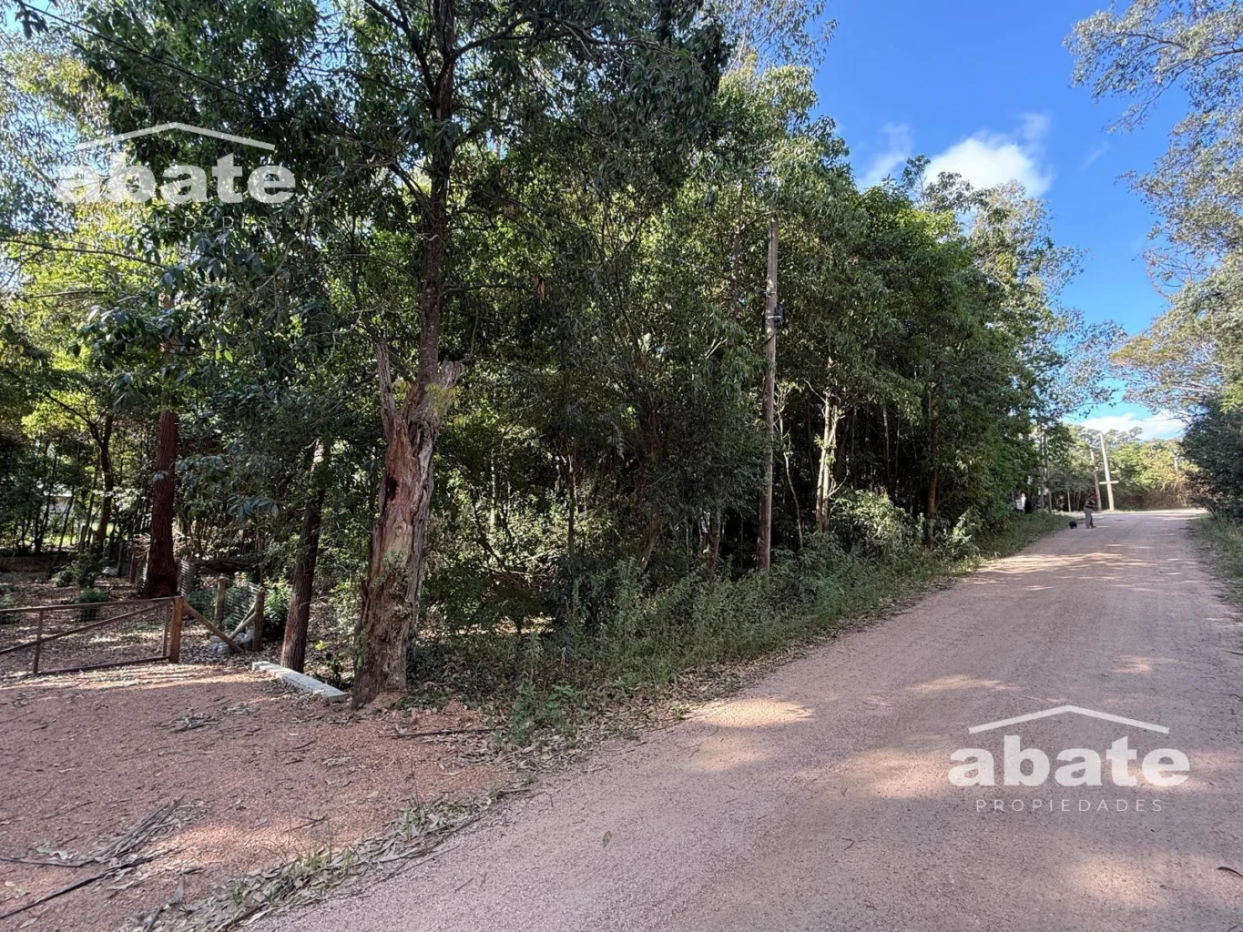 Terreno en Punta Ballena, propiedad 250901 -Imagen 6