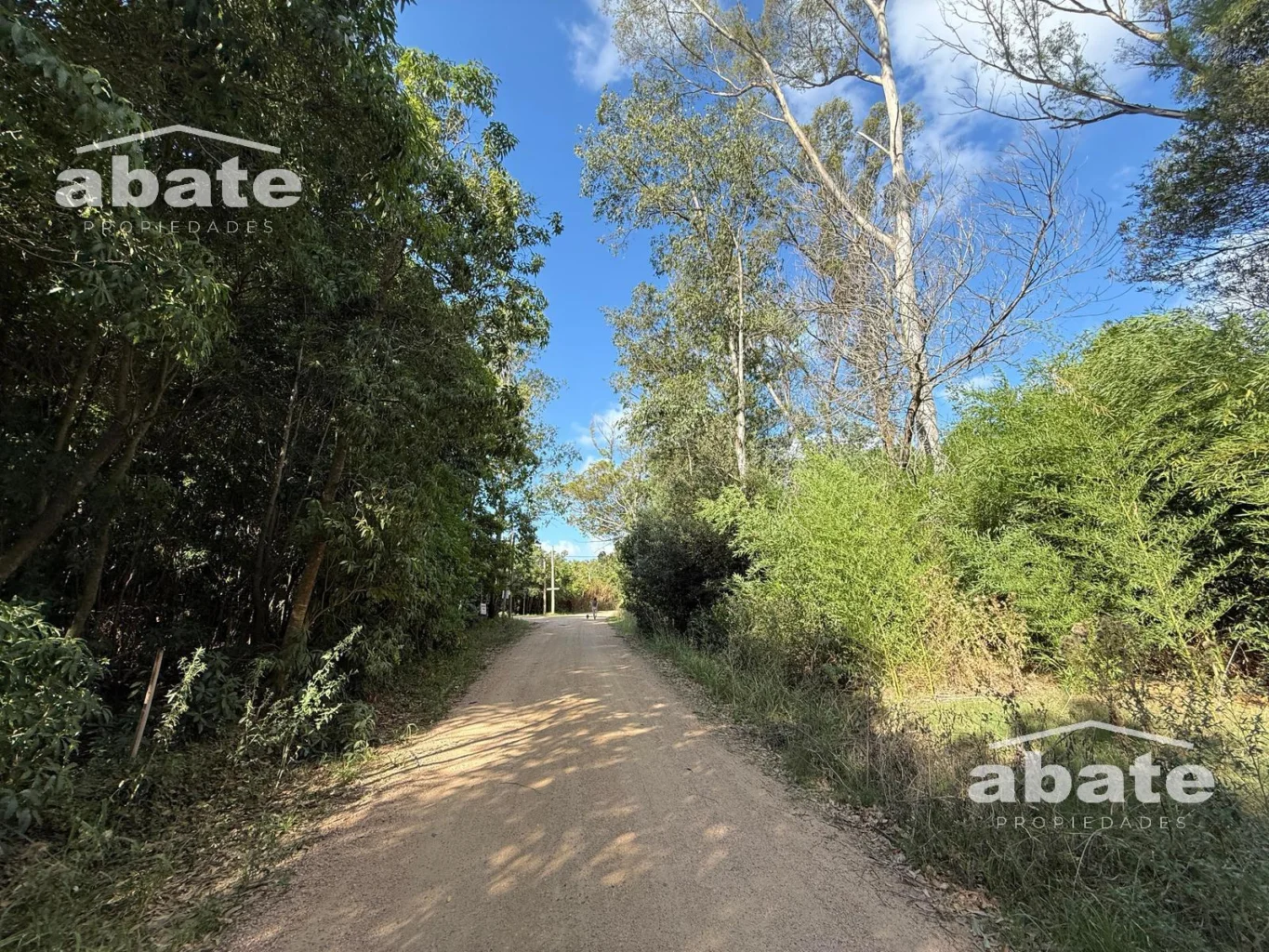 Terreno en Punta Ballena, propiedad 250901 -Imagen 7