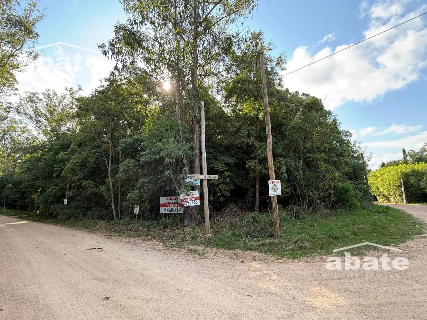 Terreno en Punta Ballena, propiedad 250901 -Imagen 9