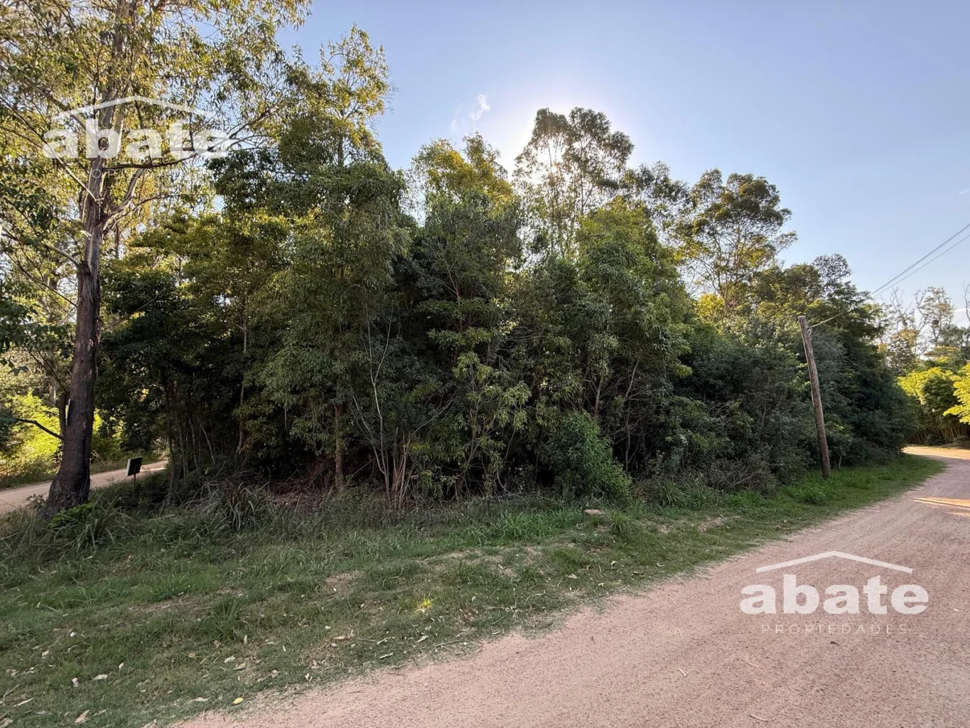 Terreno en Punta Ballena, propiedad 250901 -Imagen 10