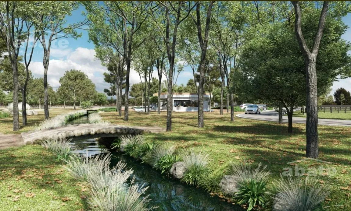 Terreno en Barrios Privados, propiedad 253611 -Imagen 5
