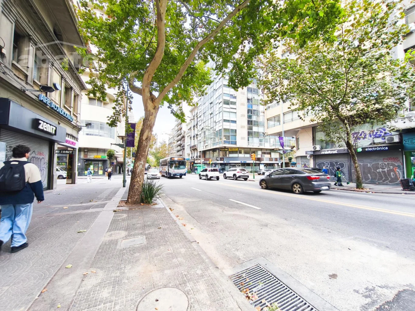 Local en Centro, propiedad 268123 -Imagen 14