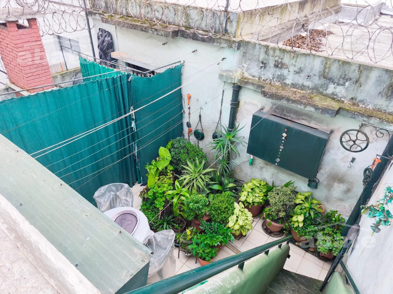Casa en La Blanqueada, propiedad 276146 -Imagen 13