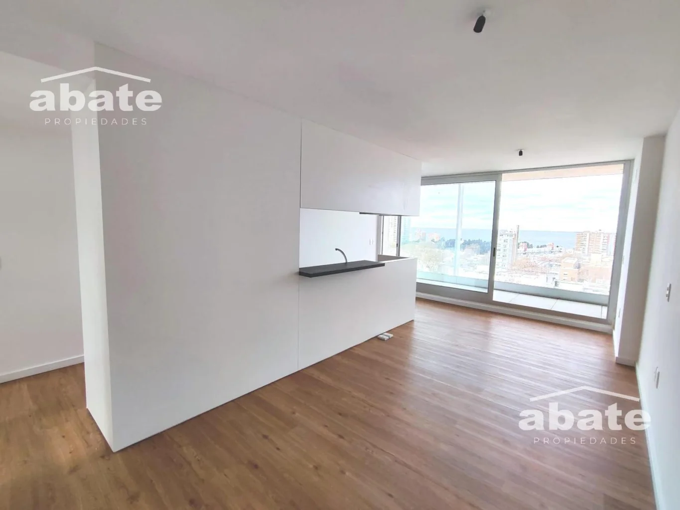 Apartamento en Centro, propiedad 302617 -Imagen 2
