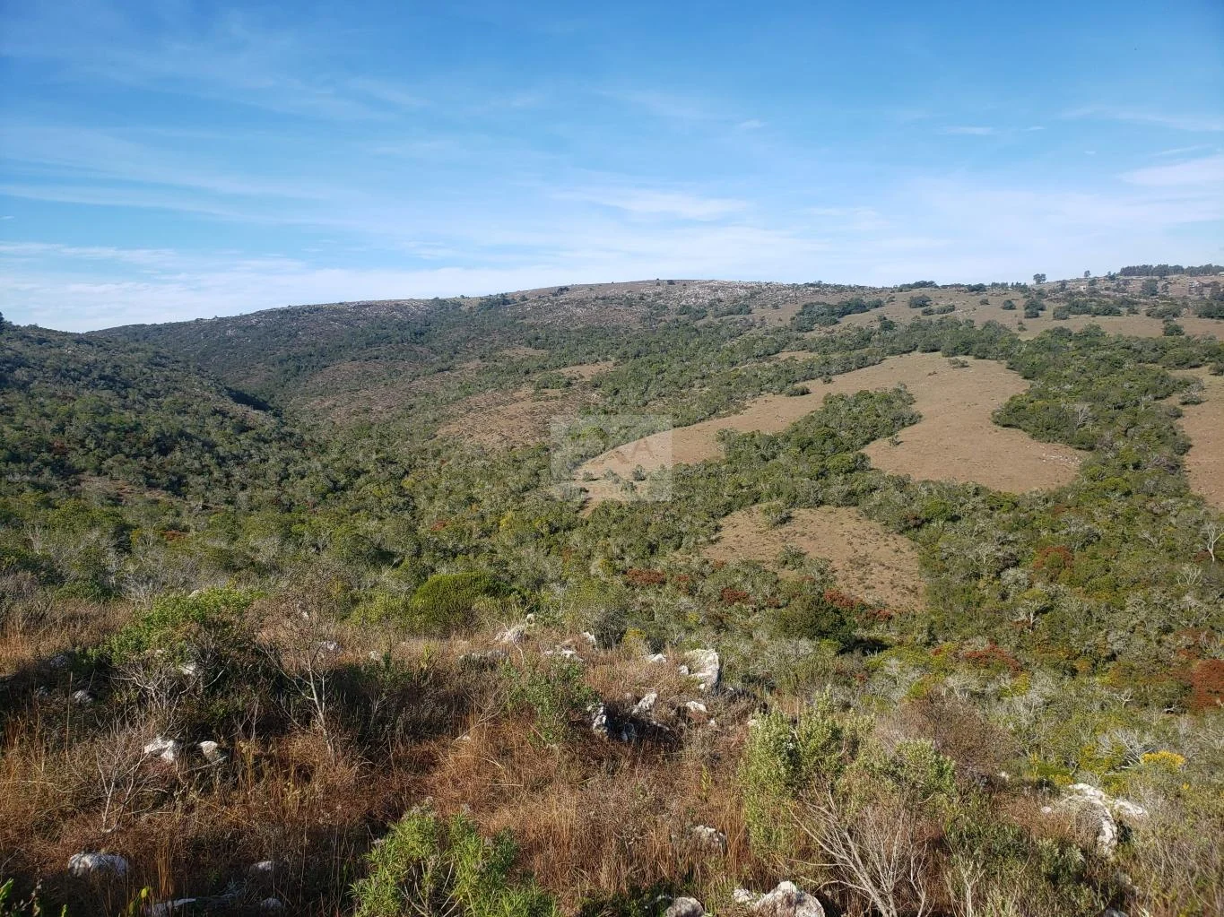 Chacra en Villa Serrana, propiedad 29850 -Imagen 3