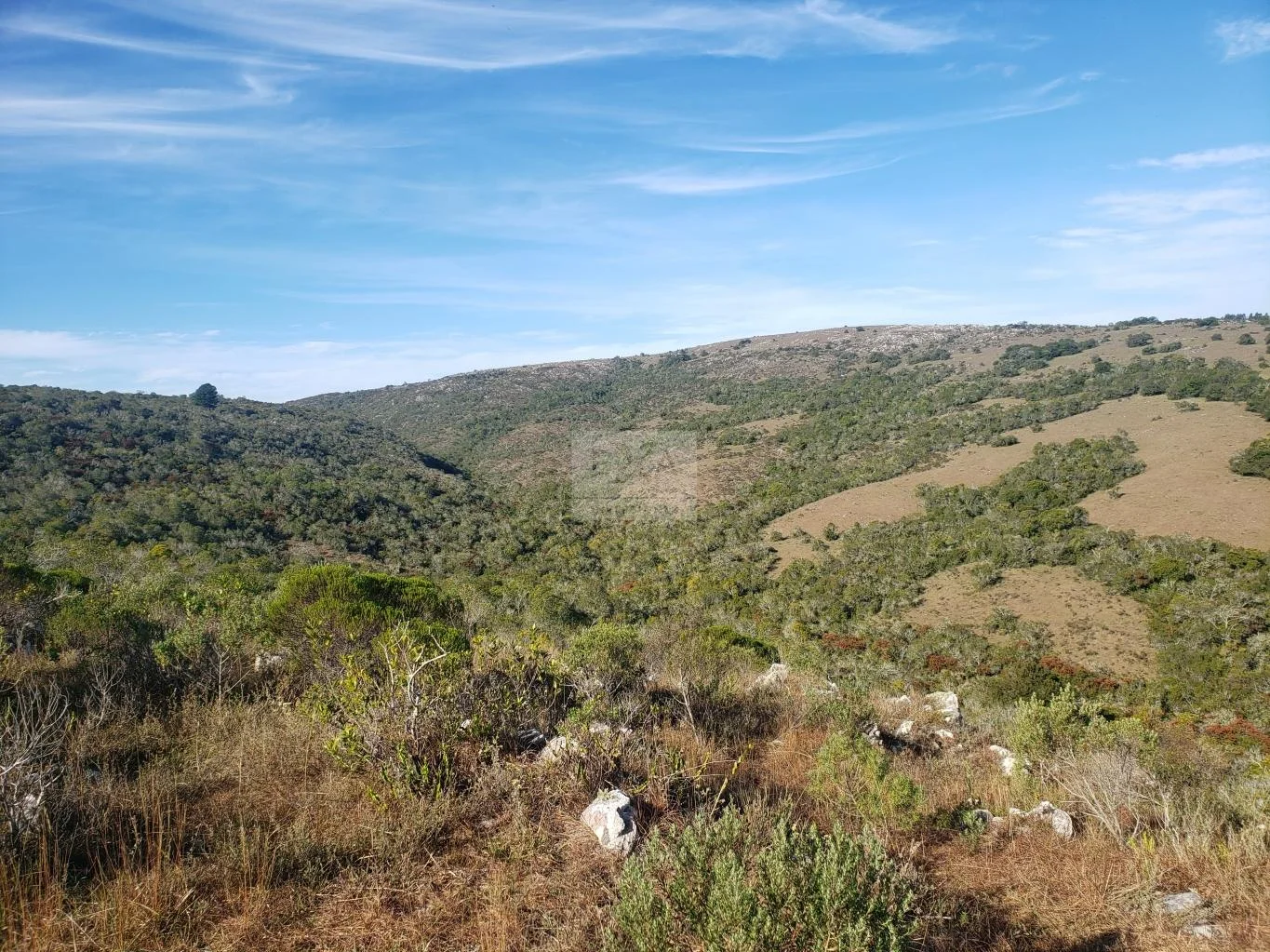 Chacra en Villa Serrana, propiedad 29850 -Imagen 10
