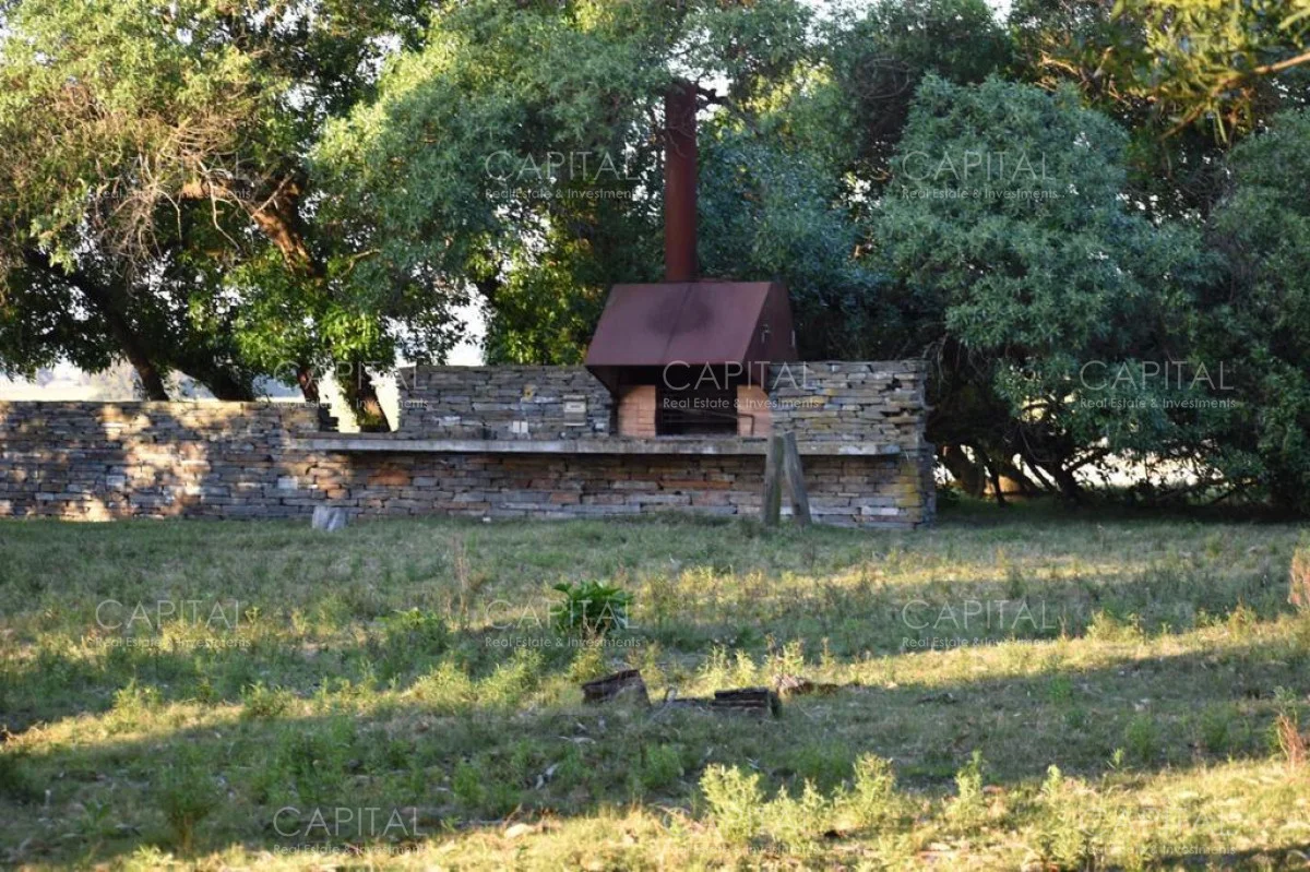 Chacra en Manantiales, propiedad 277797 -Imagen 10