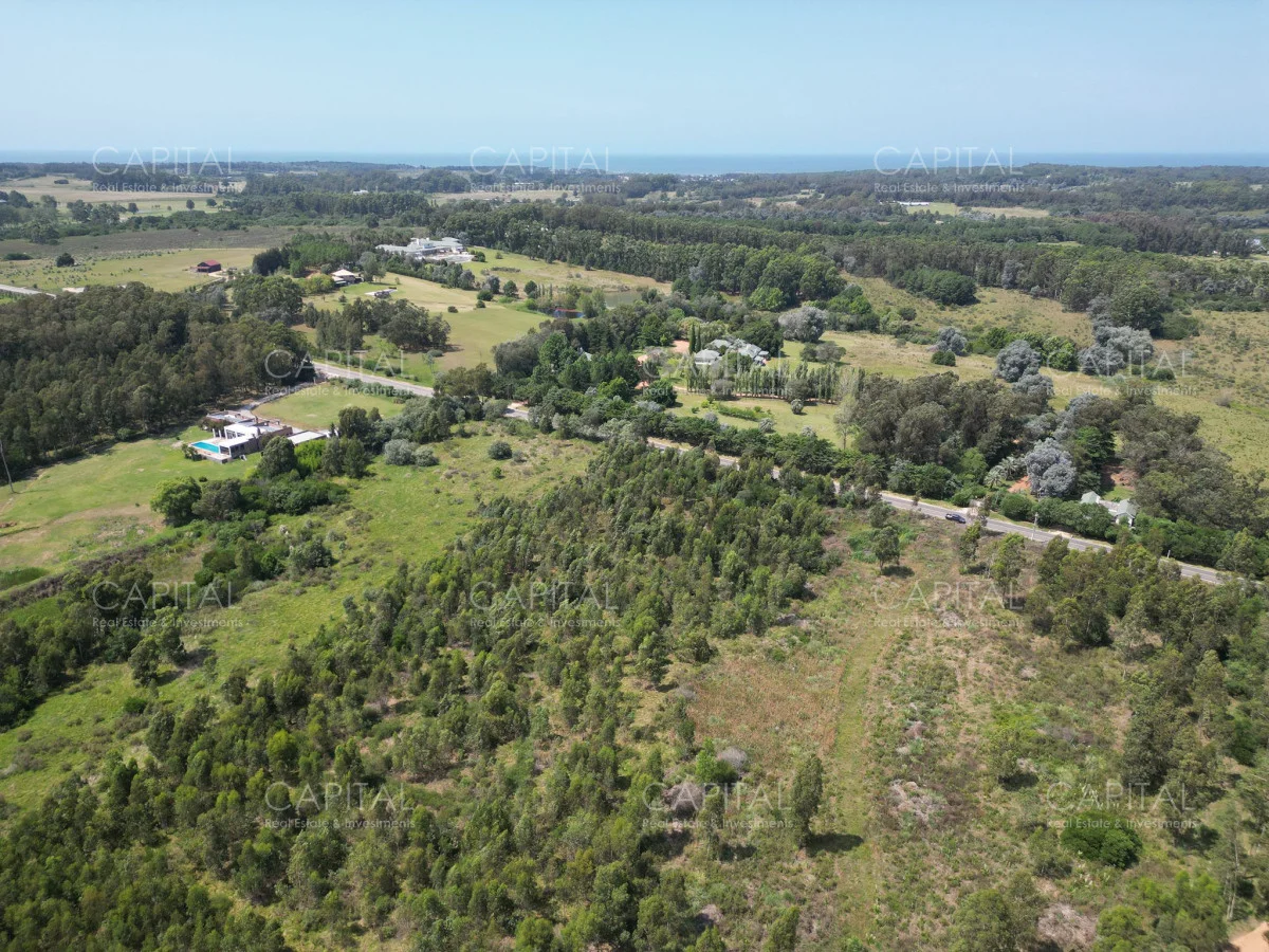 Terreno en La Barra, propiedad 277803 -Imagen 1