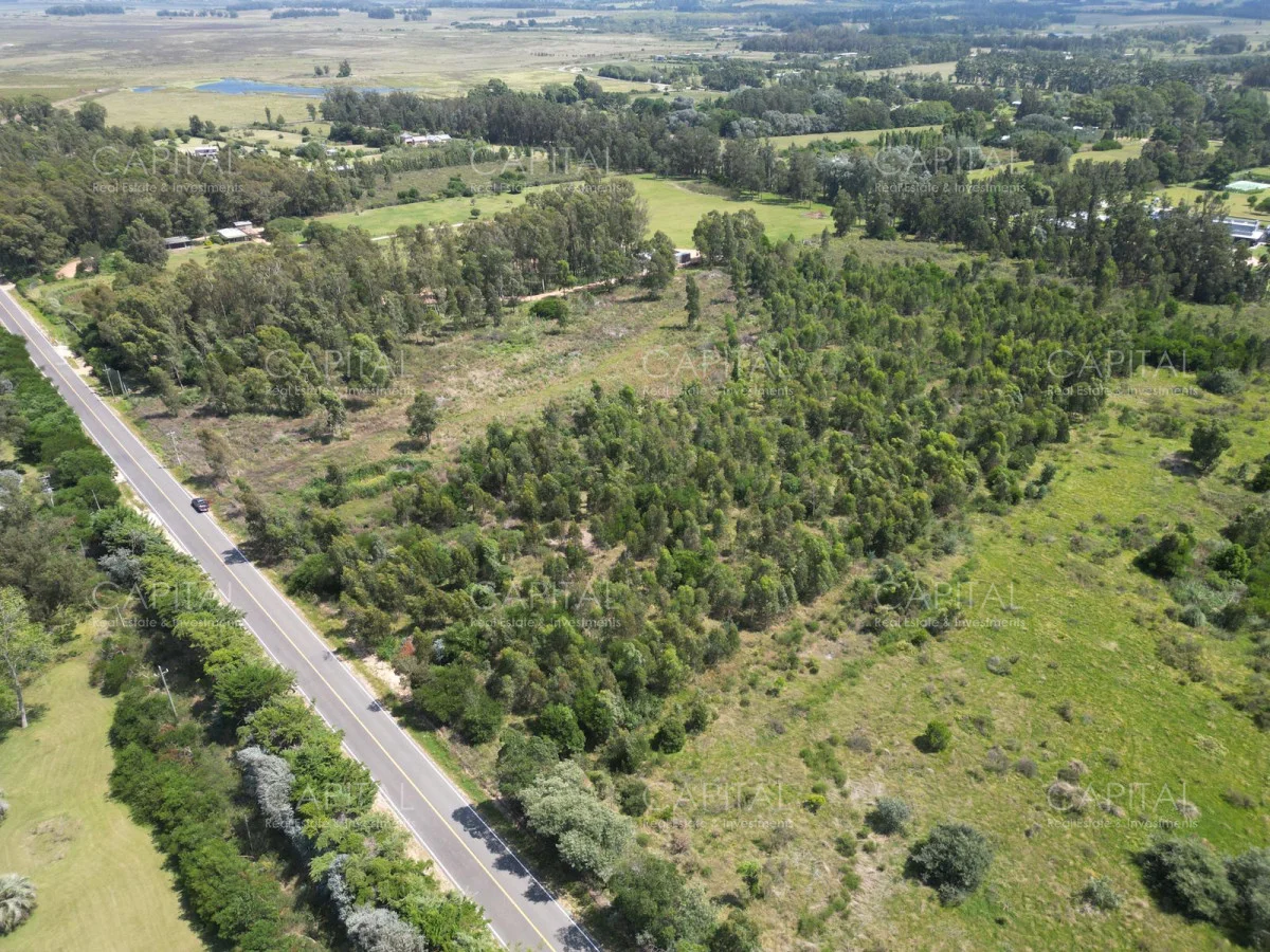 Terreno en La Barra, propiedad 277803 -Imagen 2