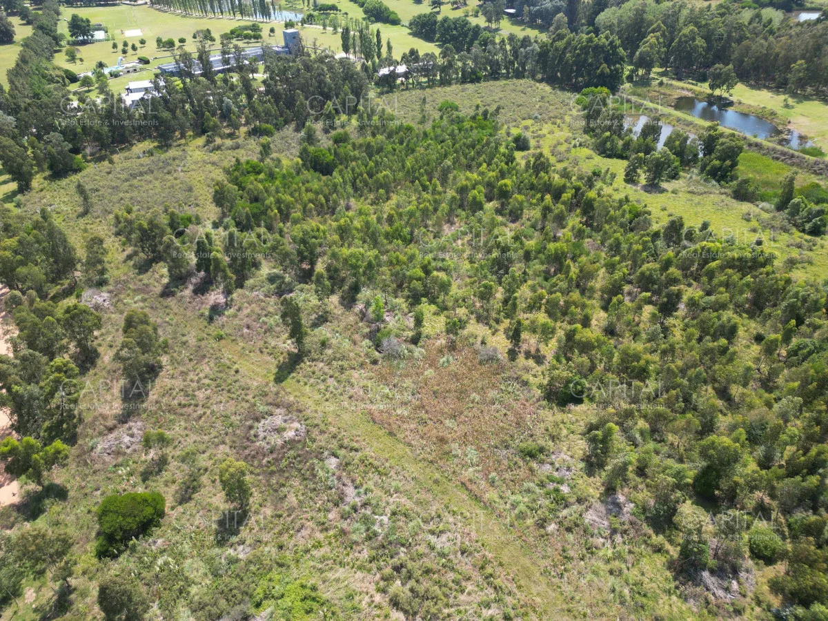 Terreno en La Barra, propiedad 277803 -Imagen 6