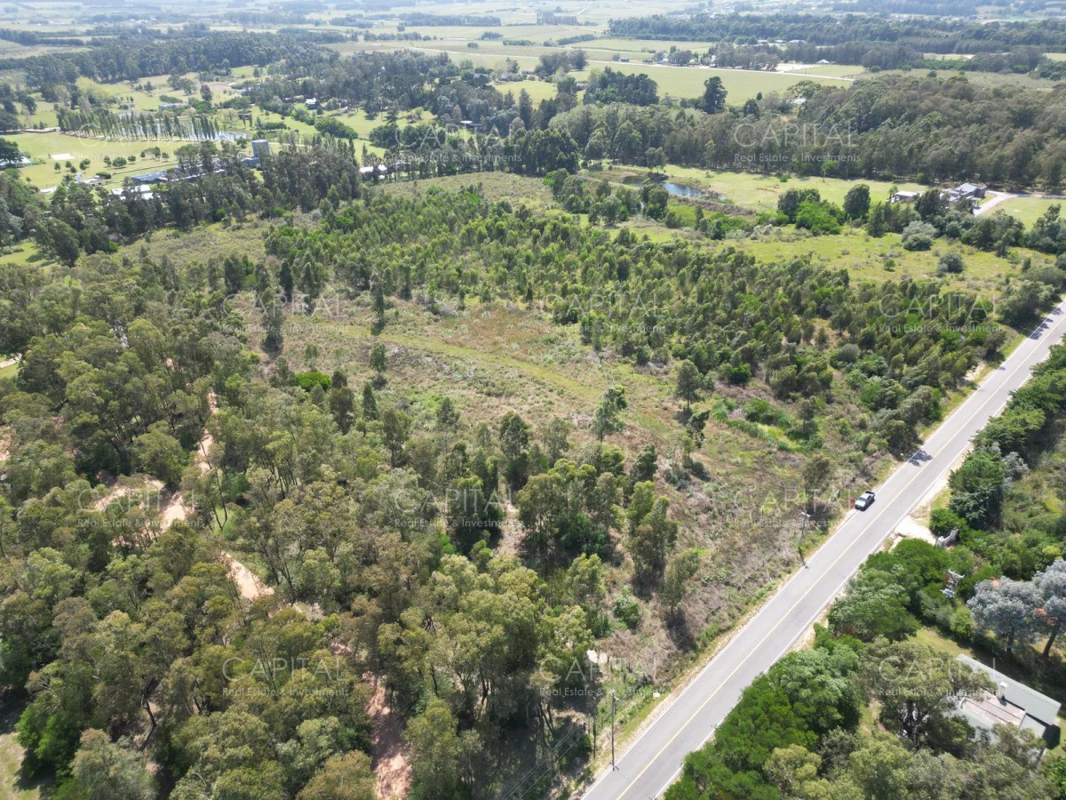 Terreno en La Barra, propiedad 277803 -Imagen 7