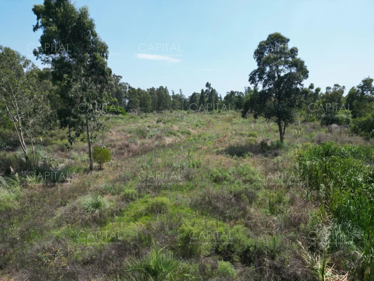 Terreno en La Barra, propiedad 277803 -Imagen 8