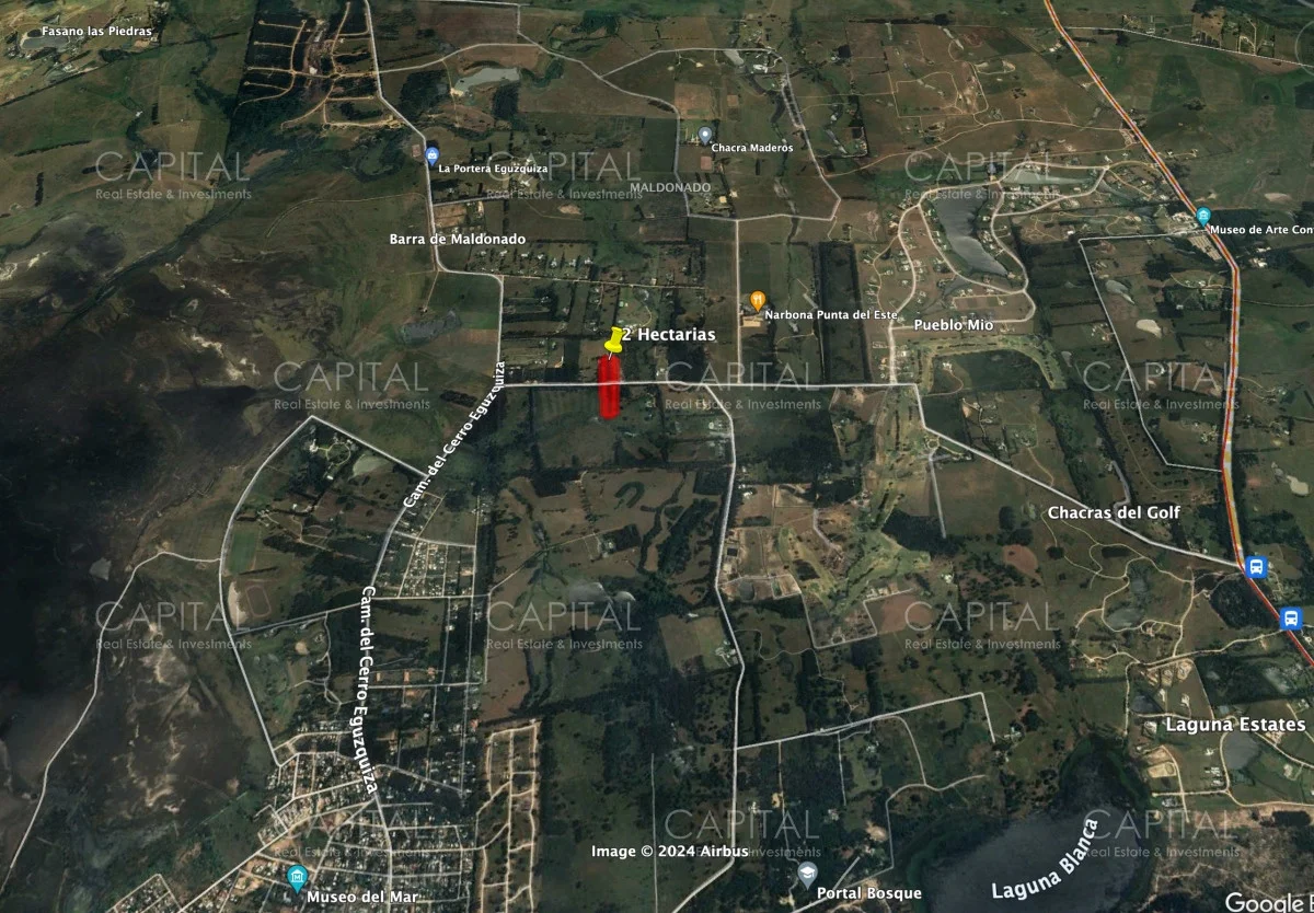 Terreno en La Barra, propiedad 277803 -Imagen 9