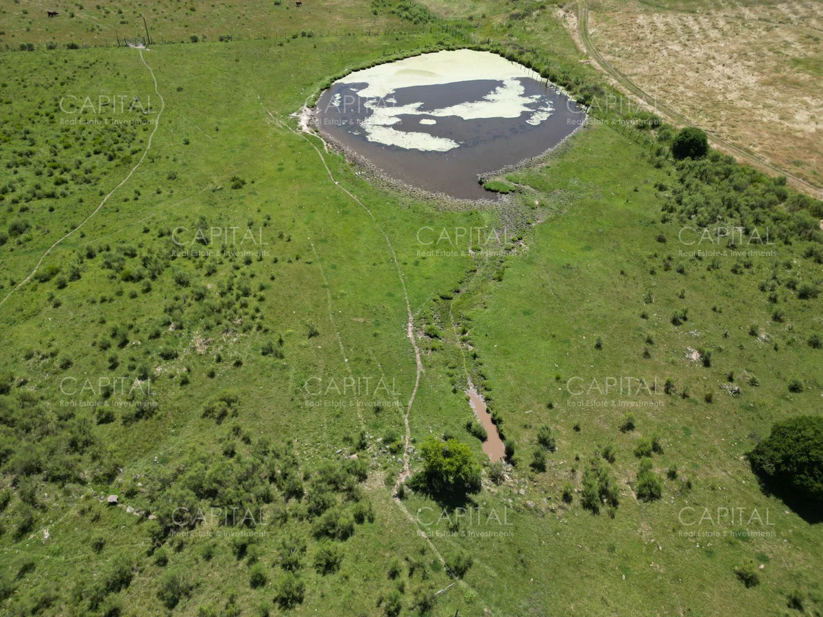 Campo en Maldonado, propiedad 277808 -Imagen 2
