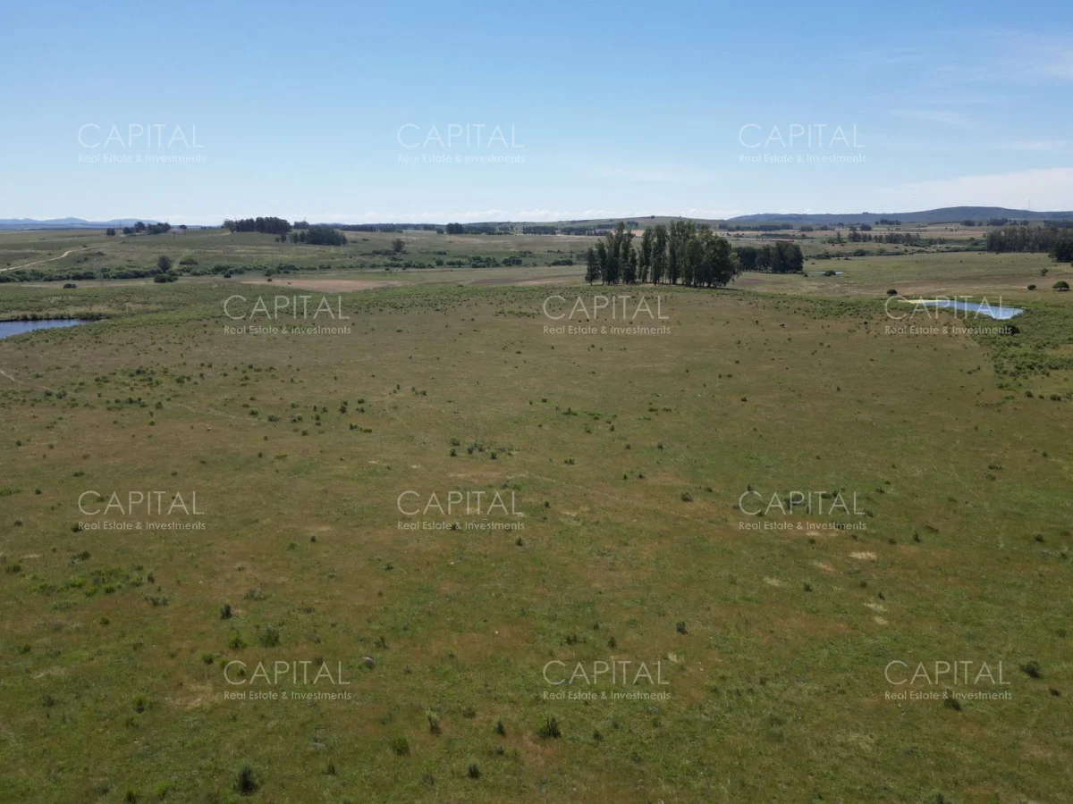 Campo en Maldonado, propiedad 277808 -Imagen 11